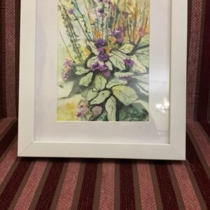 Water Colours-27