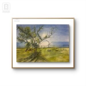 Water Colour 24