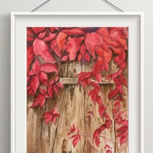 Water Colour 30